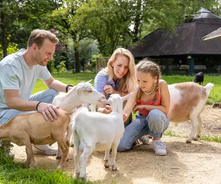 Children's Farm